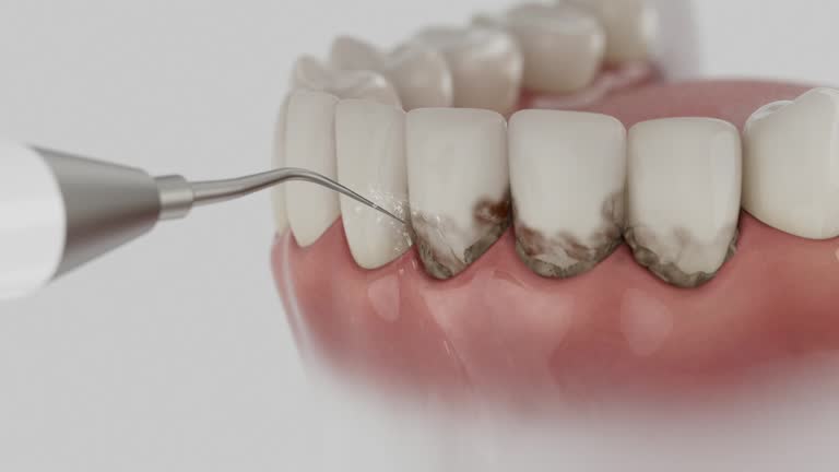 Reliable Dental contractor in Rock Springs, WY by Dentist Open Now